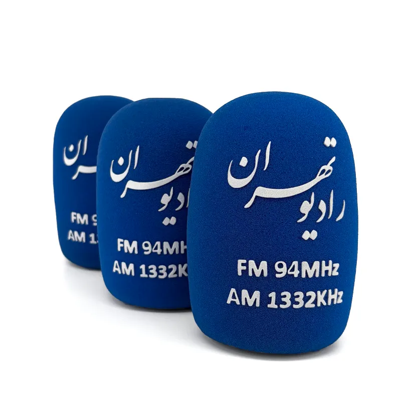 چگونه با ابر میکروفون کیفیت ضبط صدا را در خبرنگاری بالا ببریم